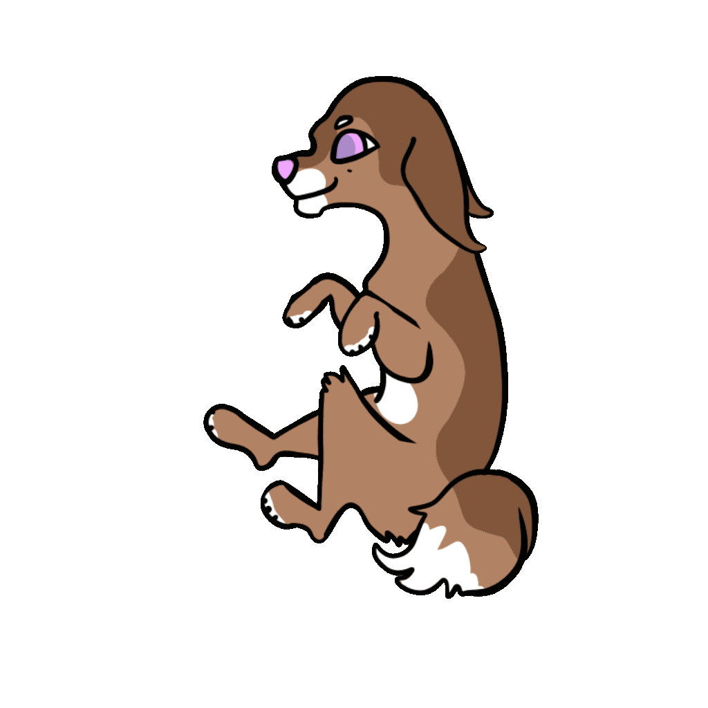 A chocukat happily trotting across the island